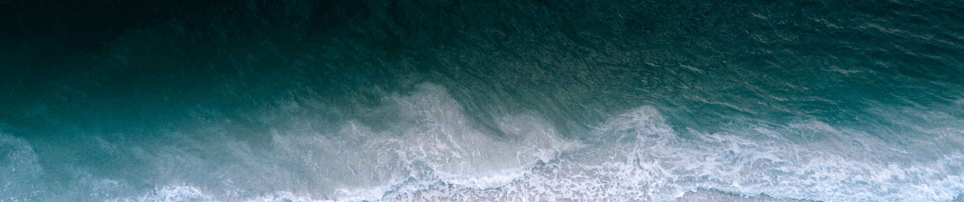 Banner2.png
